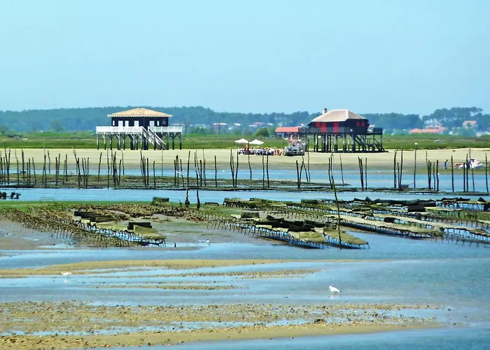 Apartman D'automne By Interhome Arcachon